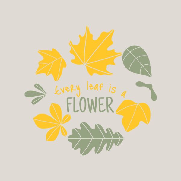 Fall Season 13 Thumbnail