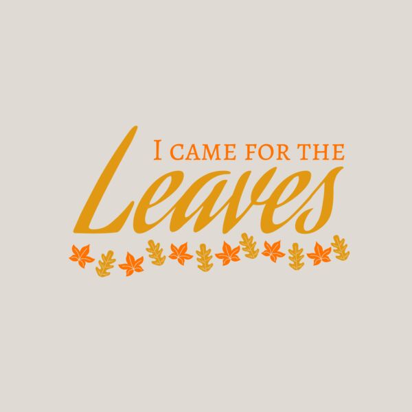 Fall Season 28 Thumbnail