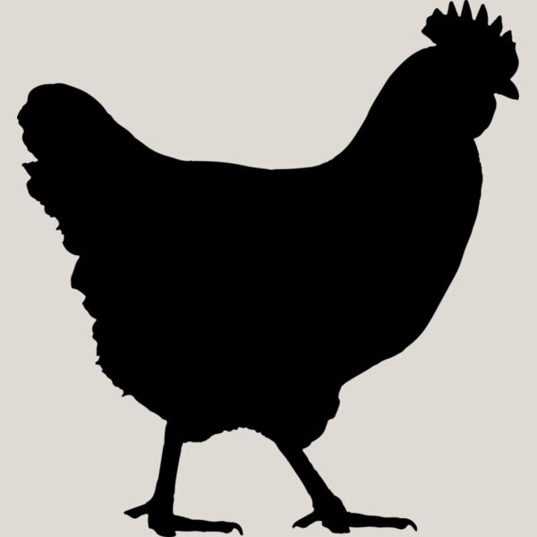 Chicken   Clipart 1 Thumbnail