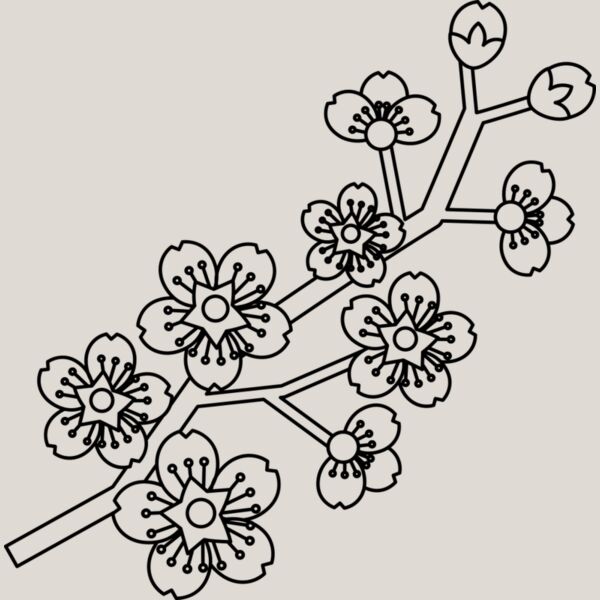 Cherry Blossom Branch Thumbnail