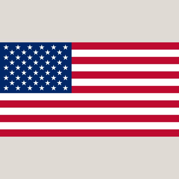 USA Flag Thumbnail