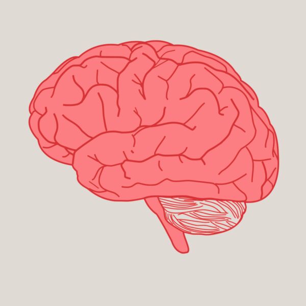 Brain Thumbnail