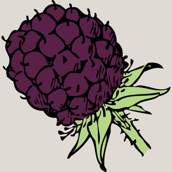 Blackberry Thumbnail