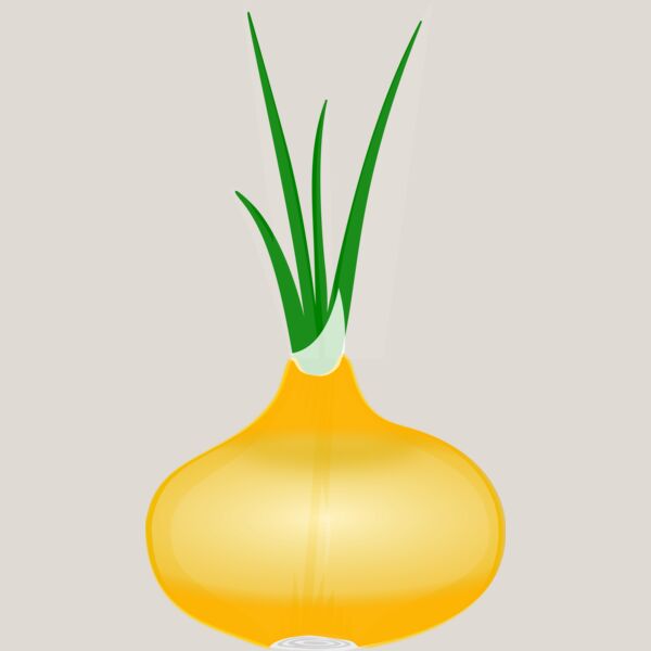 Onion 1 Thumbnail