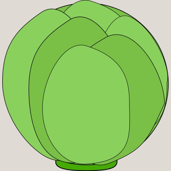 Cabbage Thumbnail