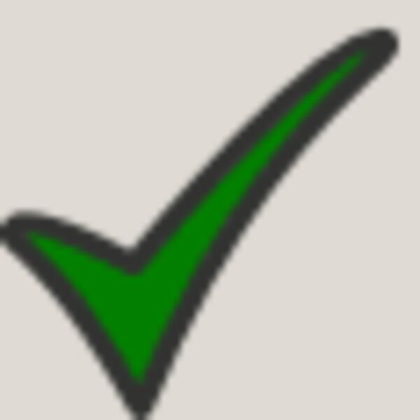 Check Mark Thumbnail