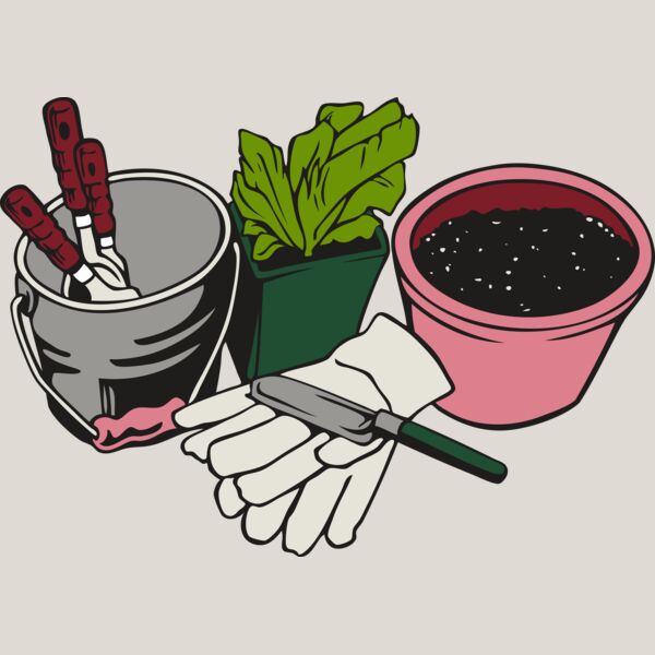 landscapeD31 Thumbnail