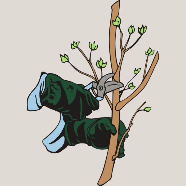 landscapeD25 Thumbnail