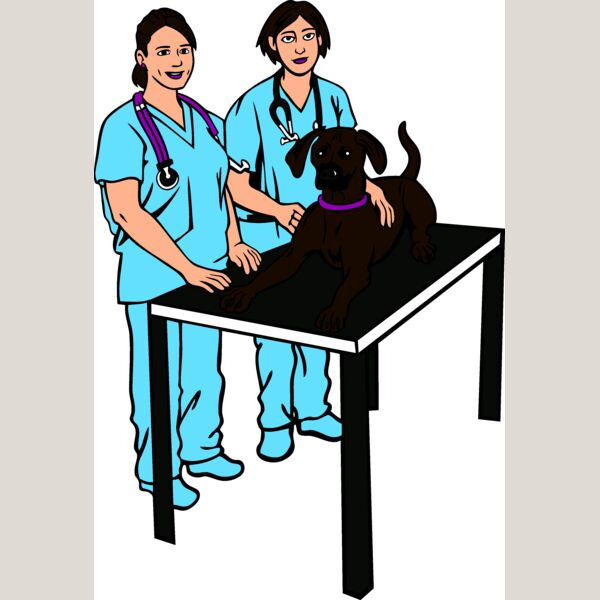 VetM004 eps Thumbnail