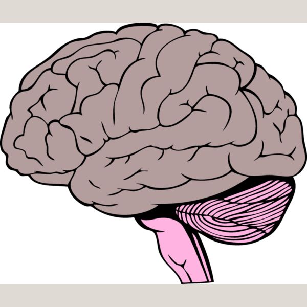 BrainC001 eps Thumbnail