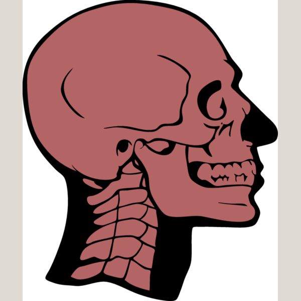 skullD02 eps Thumbnail