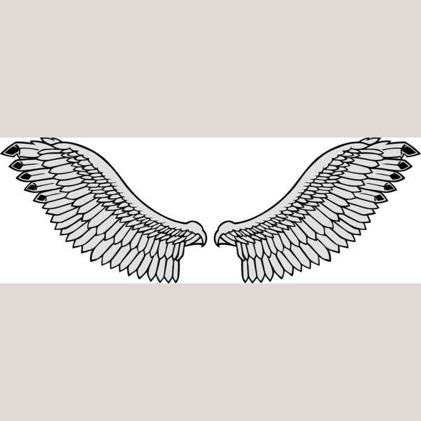 wings3 eps Thumbnail