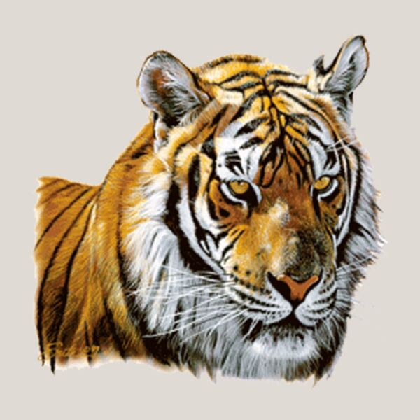 Tiger Thumbnail