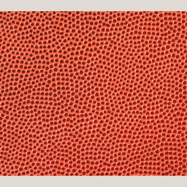 Basketball 1 Thumbnail