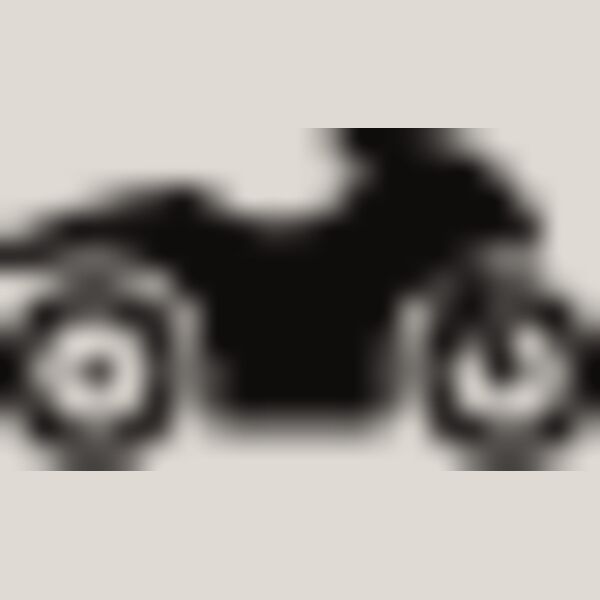 Racing Bike6 Thumbnail