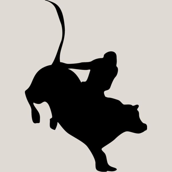 Bull Rider3 Thumbnail