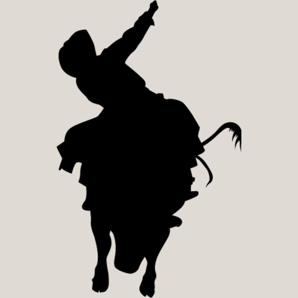 Bull Rider12 Thumbnail