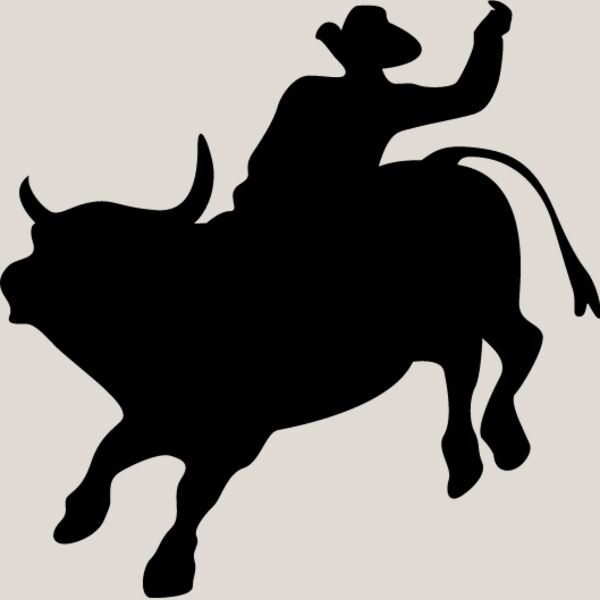Bull Rider1 Thumbnail