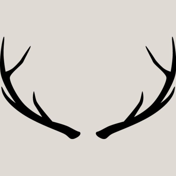 Deer Rack8 Thumbnail