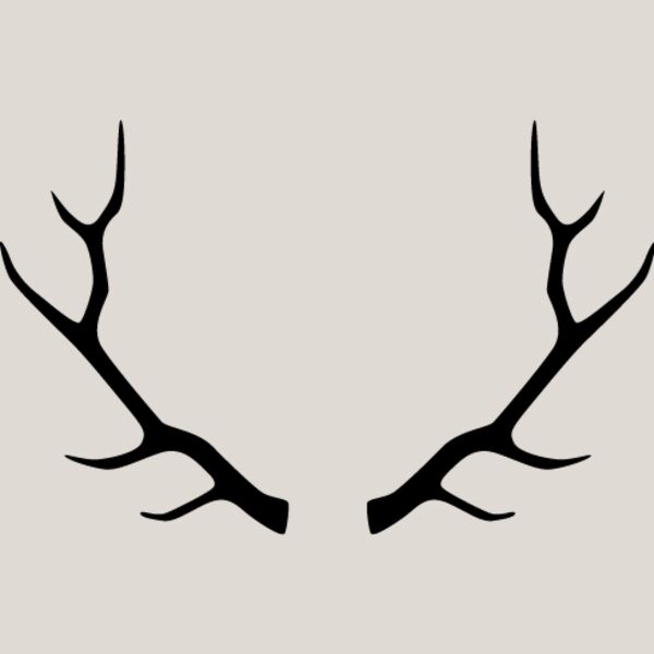 Deer Rack4 Thumbnail