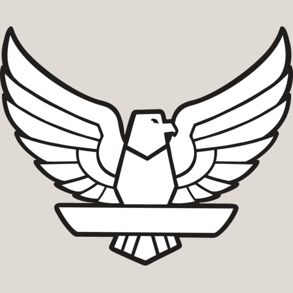 USA Eagle5 Thumbnail