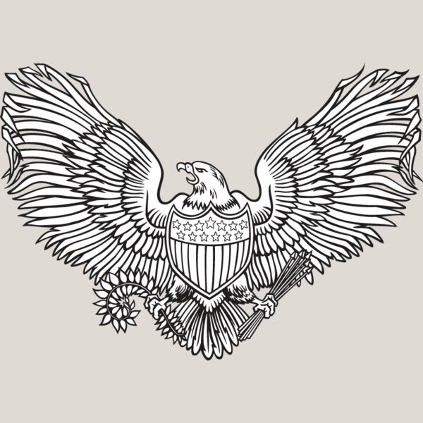 USA Eagle1 Thumbnail