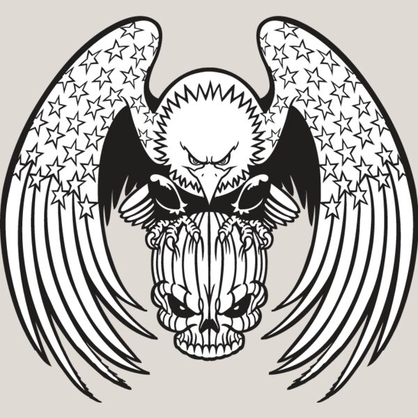 USA Eagle12 Thumbnail