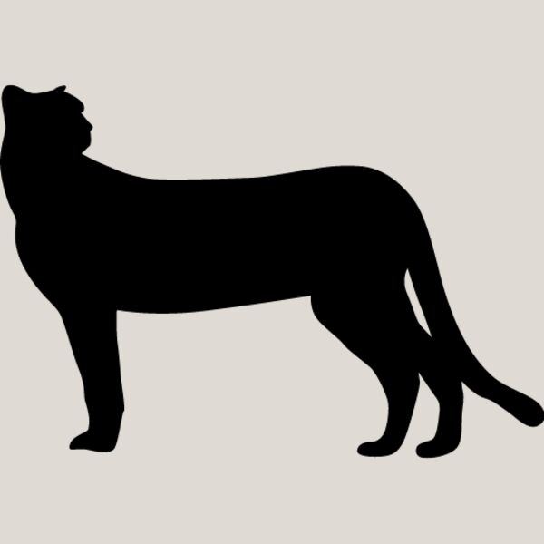 Big Cat  Tiger  Lion  Panther 25 Thumbnail