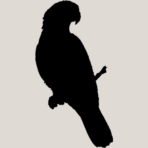 Parrot Silhouette6 Thumbnail