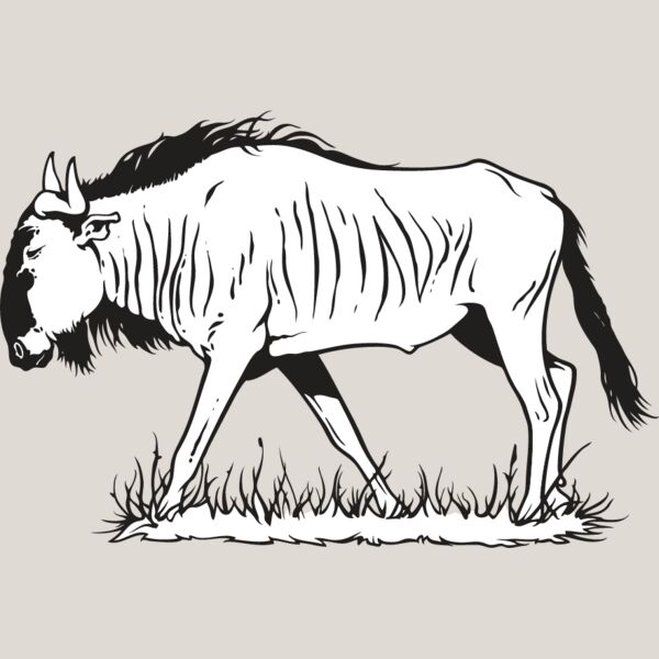 Wildebeest Thumbnail