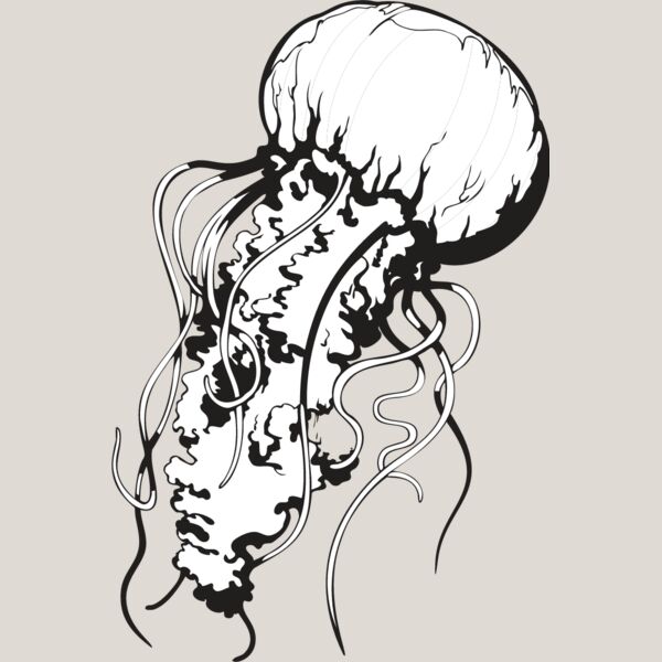 Jellyfish1 Thumbnail