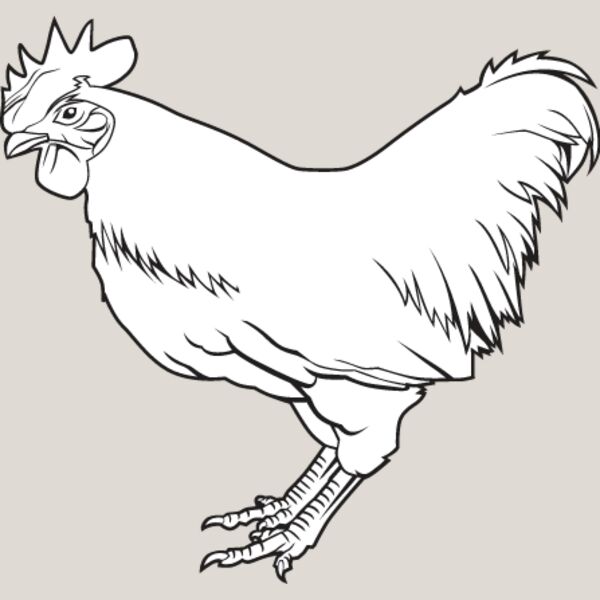 Chicken2 Thumbnail