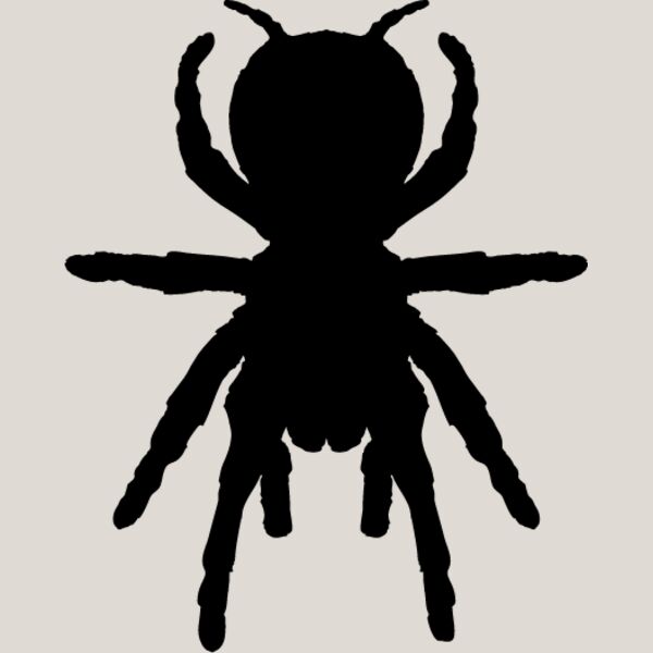 Spider Silhouette16 Thumbnail