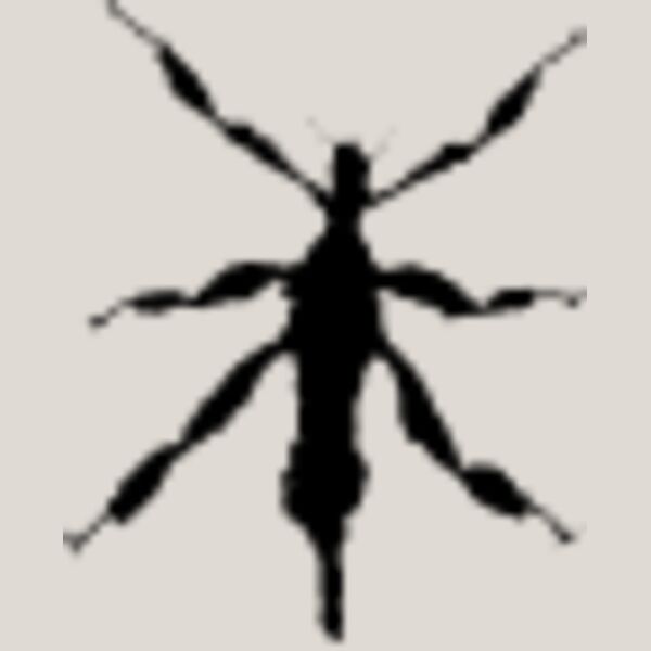 Walking Insect11 Thumbnail