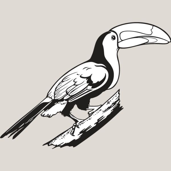 Toucan2 Thumbnail
