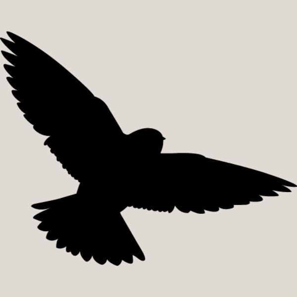 Bird Silhouette11 Thumbnail