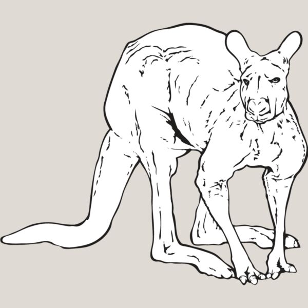 Kangaroo1 Thumbnail