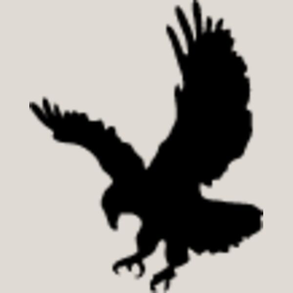 Flying Eagle Silhouette6 Thumbnail