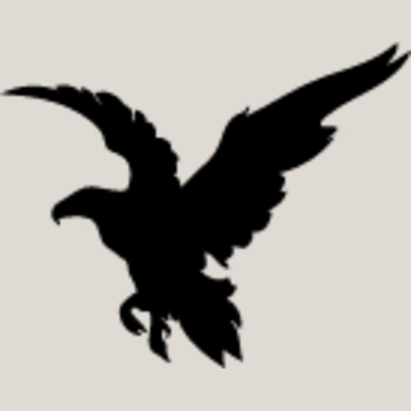 Flying Eagle Silhouette7 Thumbnail