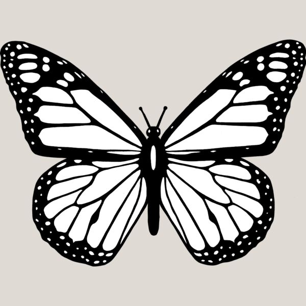 Butterfly2 Thumbnail