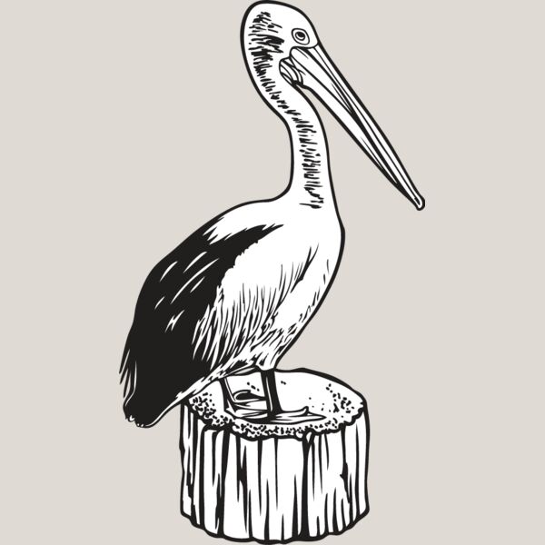 Pelican Thumbnail