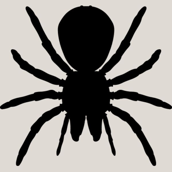 Spider Silhouette17 Thumbnail