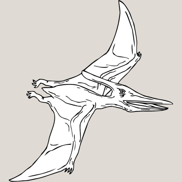 Pteradactyl2 Thumbnail