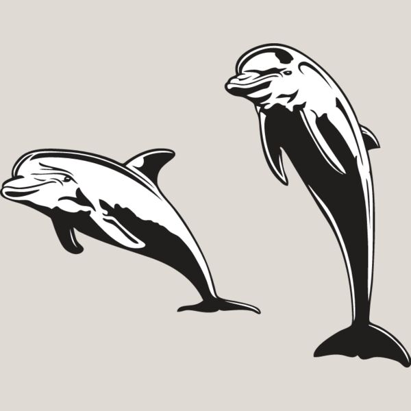 Dolphins Thumbnail