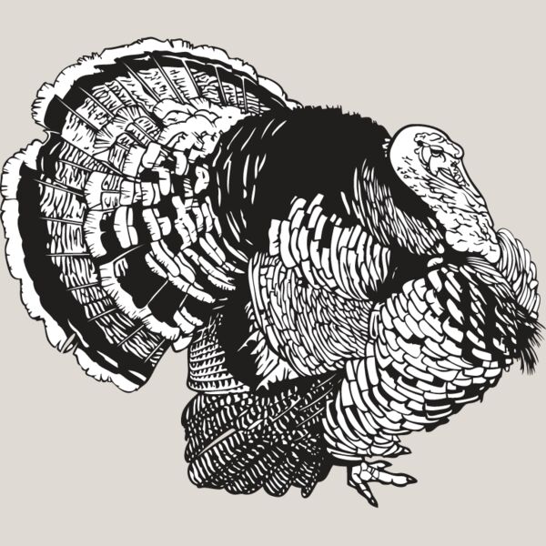 Wild Turkey10 Thumbnail