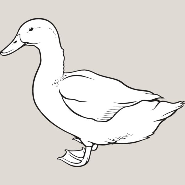 Duck4 Thumbnail