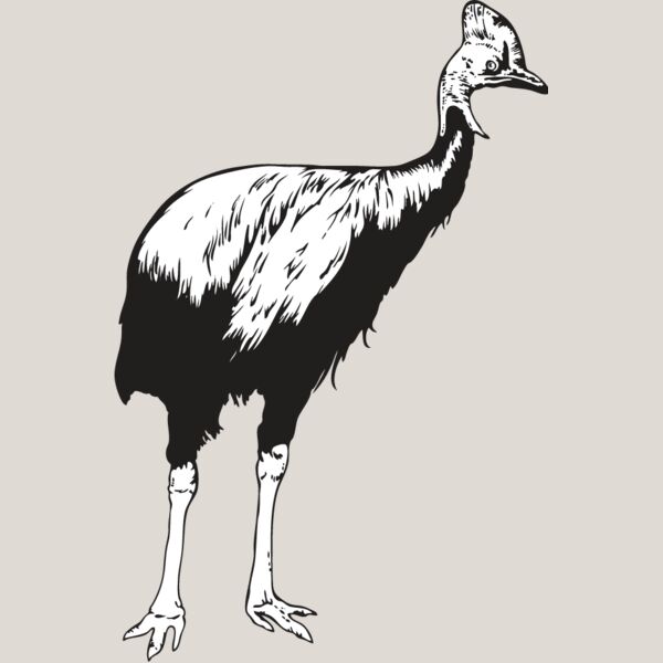 Cassowary Thumbnail