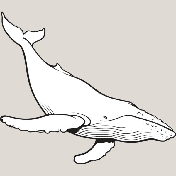 Humpback Whale Thumbnail