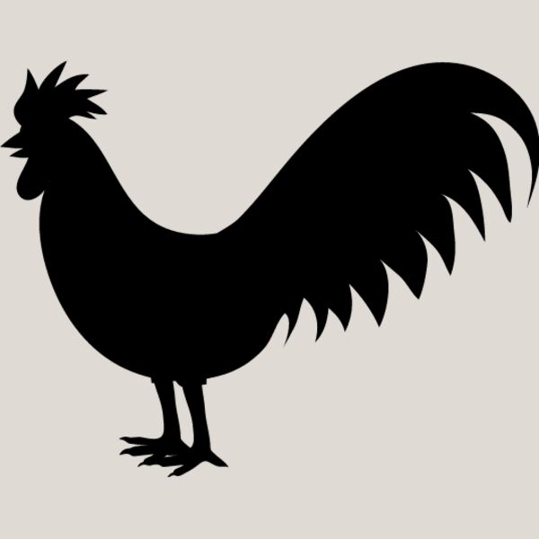 Rooster6 Thumbnail
