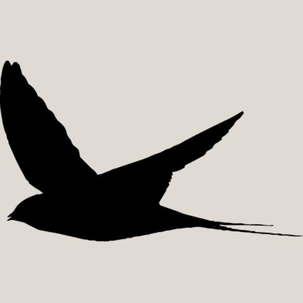 Bird Silhouette4 Thumbnail